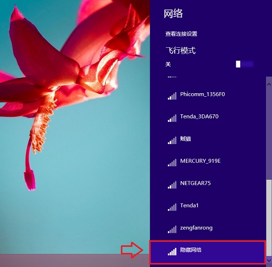 Win8.1怎么连接隐藏SSID网络 避免蹭网 Win8.1怎么连接隐藏SSID网络 避免蹭网