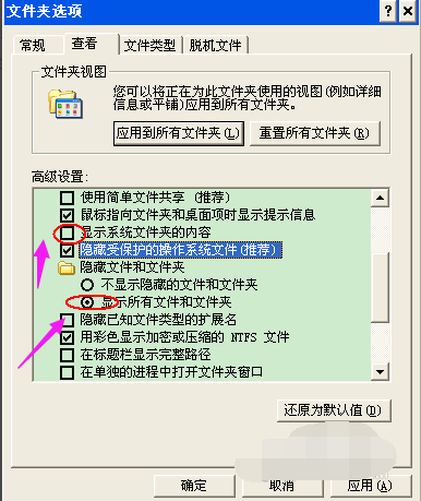U盘文件夹