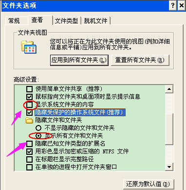 u盘不显示文件