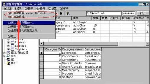 数据库文件